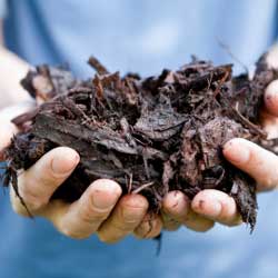 More Than Just Mulch