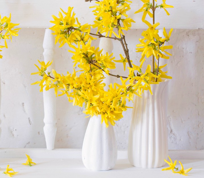 Spring is on the Way!