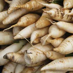 Rotating Your Vegetable Crops