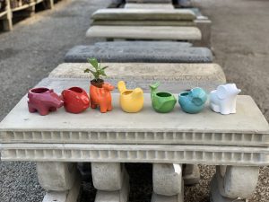 Valentine Gifts From the Garden Center