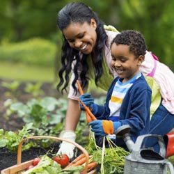 Gardening With Children