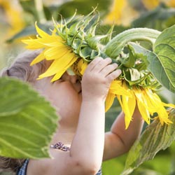 Gardening with Children
