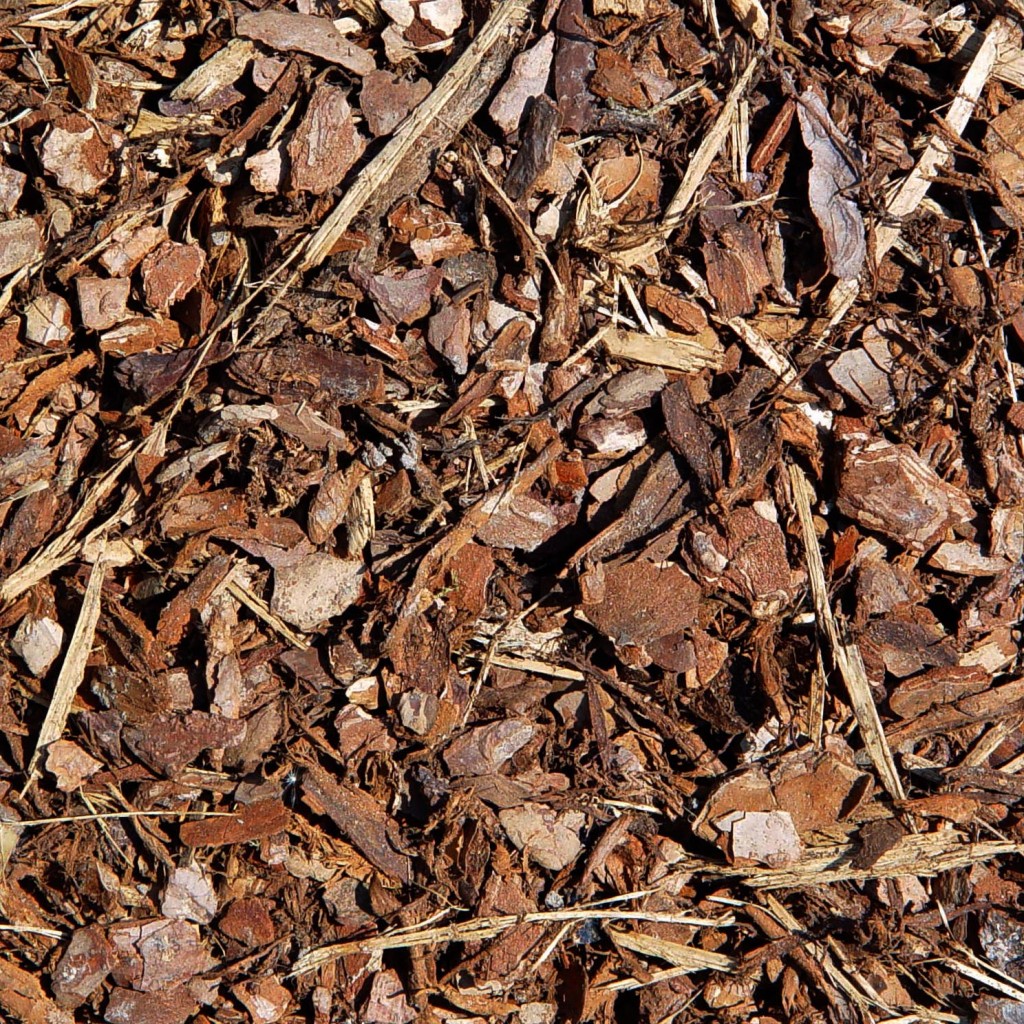 Vegetable Garden Tidbits