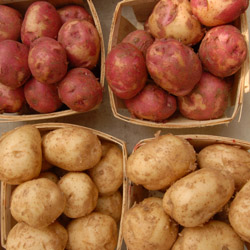 Potatoes
